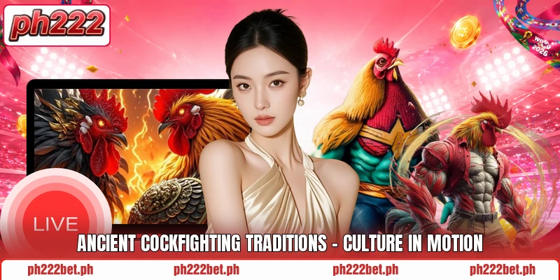 Ancient Cockfighting Traditions - Culture In Motion Ancient Cockfighting Traditions - Culture In Motion