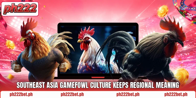 Southeast asia gamefowl culture keeps regional meaning